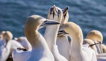 上海海港已得知奥斯卡心脏问题,愿意为其提供治疗帮助:“上海海港的大门永远为你敞开”