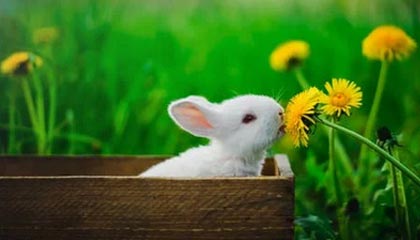 上海海港已得知奥斯卡心脏问题,愿意为其提供治疗帮助:“上海海港的大门永远为你敞开”