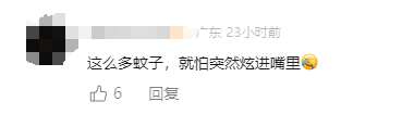 头皮发麻！广东一地现“蚊卷风”！网友：根本不敢张嘴