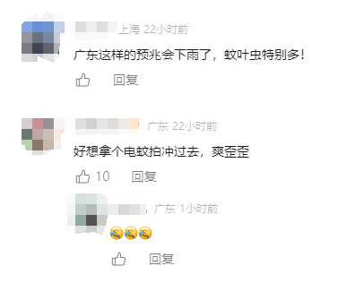 头皮发麻！广东一地现“蚊卷风”！网友：根本不敢张嘴