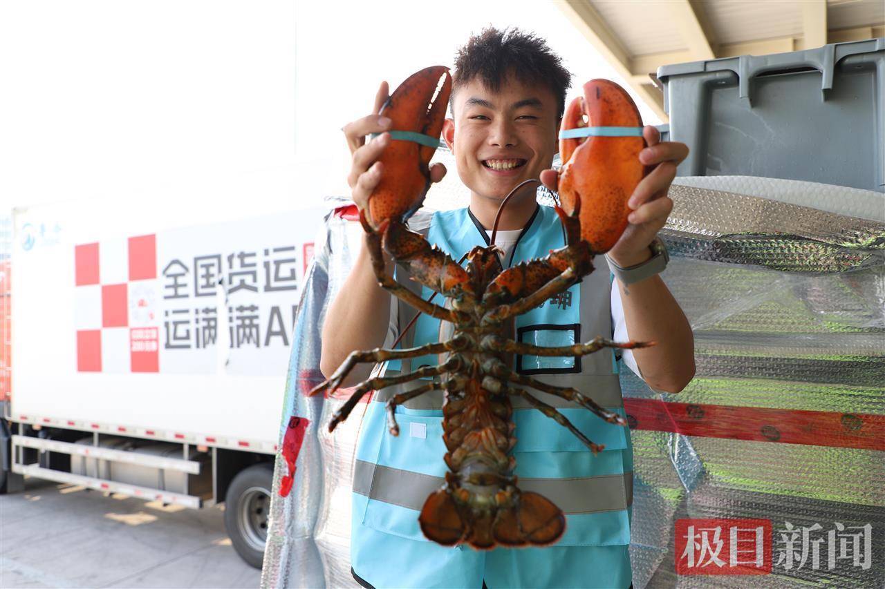 一只虾重堪比一个西瓜！90吨活波龙运抵鄂州，花湖机场货运航线突破100条