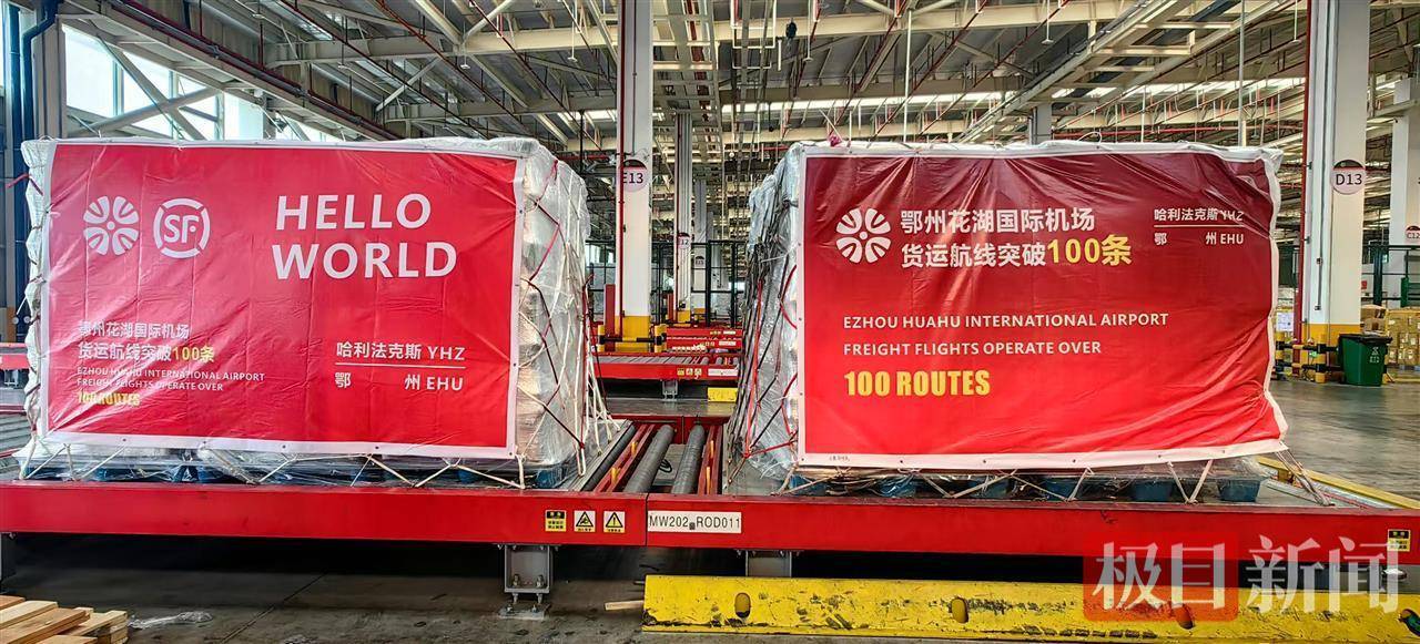 一只虾重堪比一个西瓜！90吨活波龙运抵鄂州，花湖机场货运航线突破100条