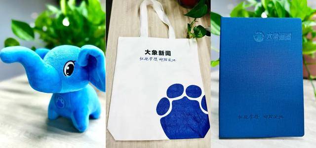 国乒教练王皓考编，总成绩排名第一！