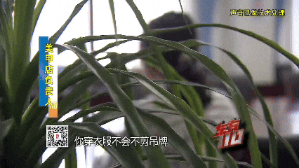 带上一盒死蟋蟀，00后女子到上海衣食住行全靠白嫖，样样找茬赖账求免单