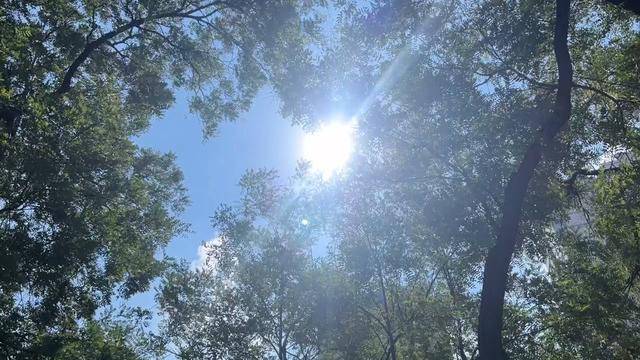 局部仍超40℃！“副高”再次西伸北抬 山东将再连续热7天