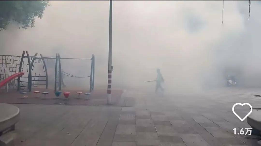 全民灭蚊总动员，大广东给我们上了一课