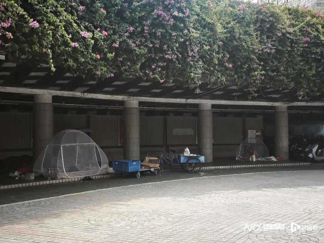 全民灭蚊总动员，大广东给我们上了一课