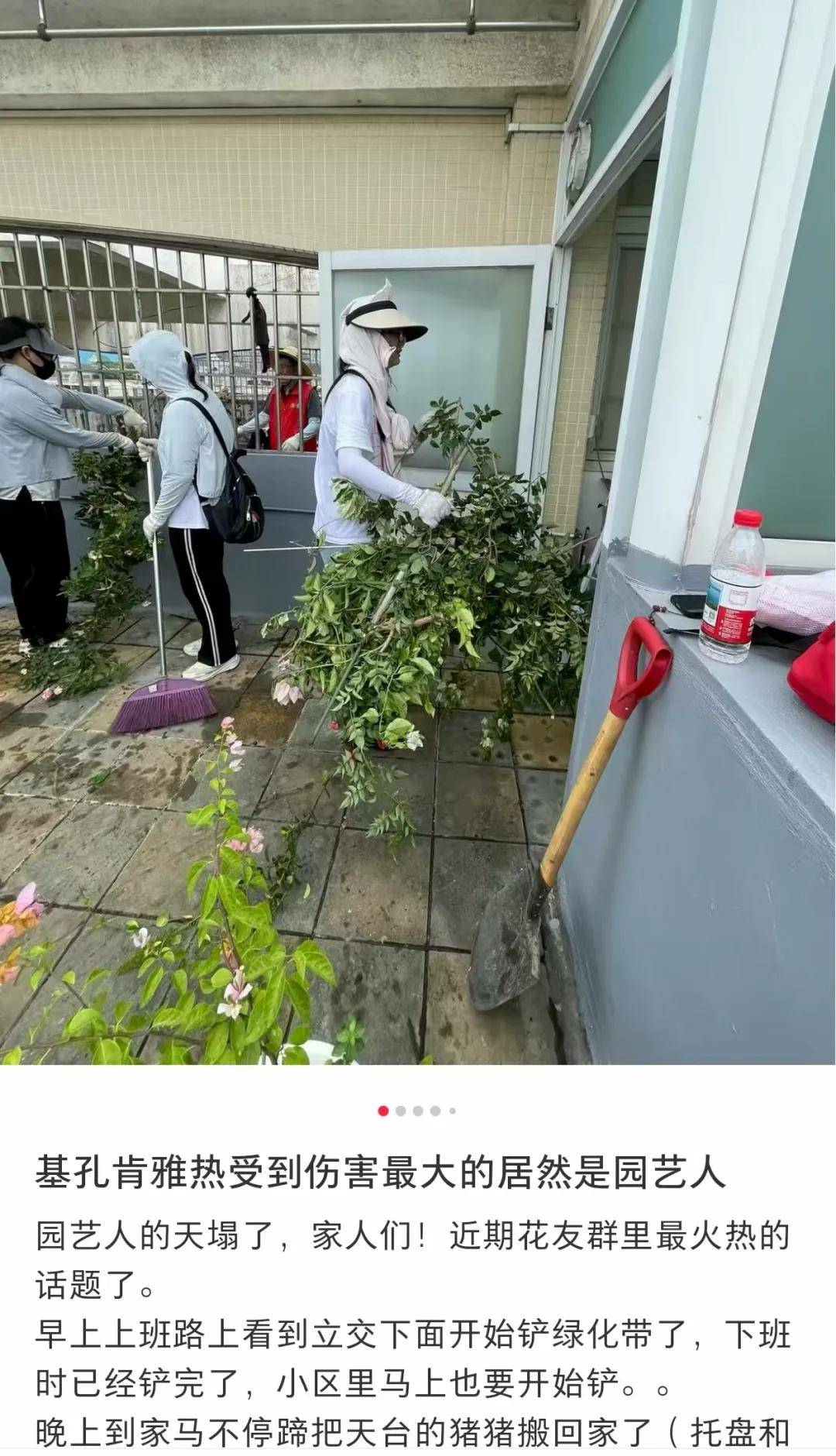 全民灭蚊总动员，大广东给我们上了一课