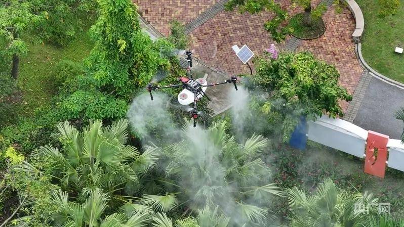 全民灭蚊总动员，大广东给我们上了一课