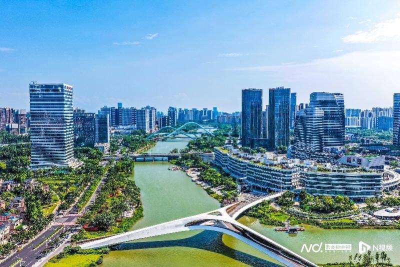 人口净增长超11万,青年人为什么选择南沙?