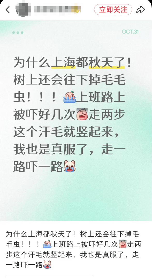 汽车被虫子啃得都是窟窿,“一边咬一边往里钻”!很多人中招