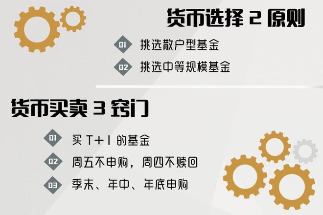 什么货币基金(什么货币基金收益高)