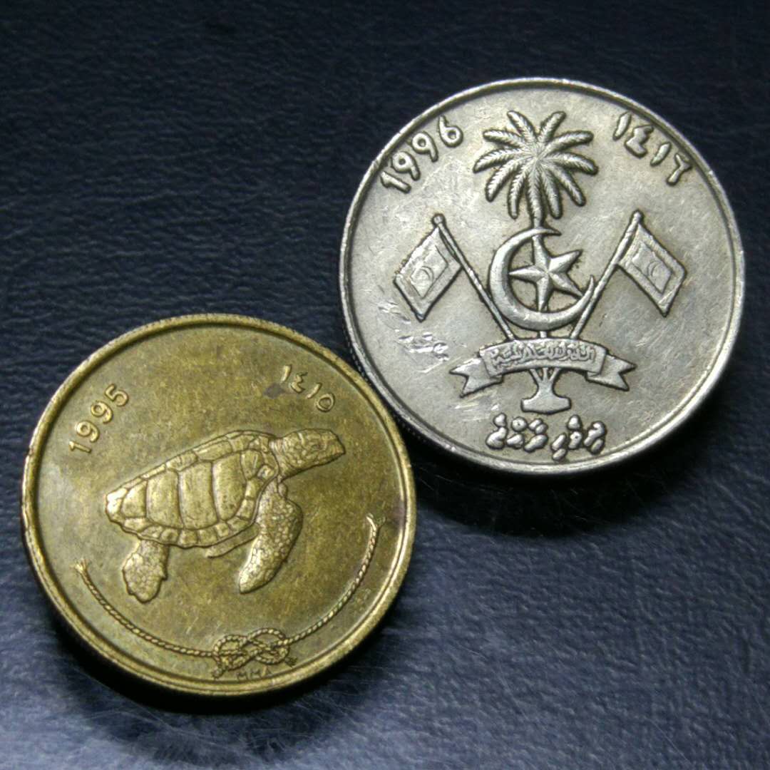 马尔代夫货币(马尔代夫货币名称)