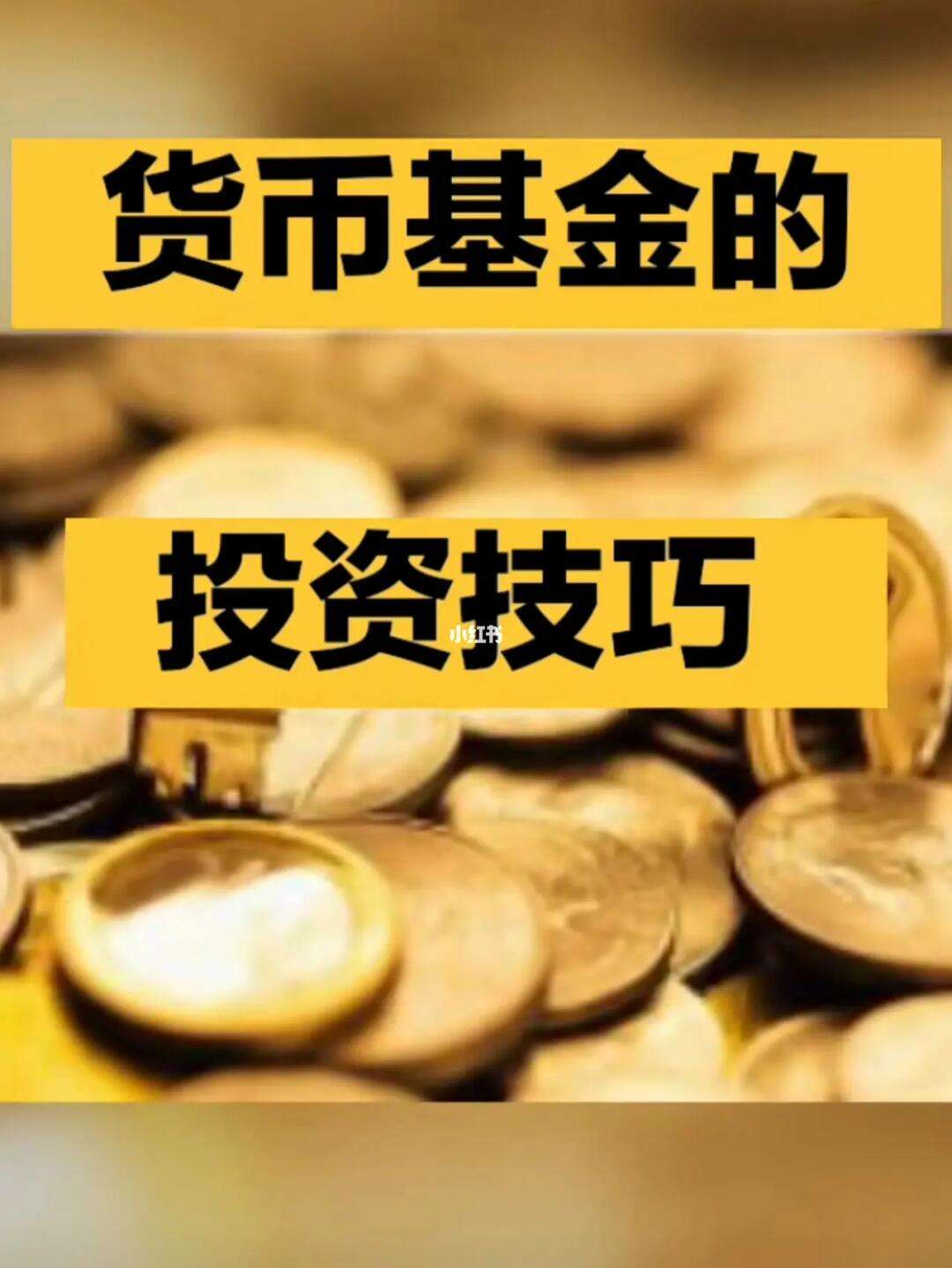 货币基金t(货币基金套利)