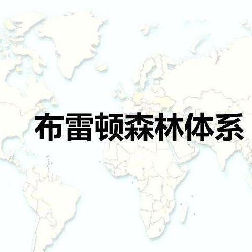 布雷顿森林货币体系(布雷顿森林货币体系的特点是)