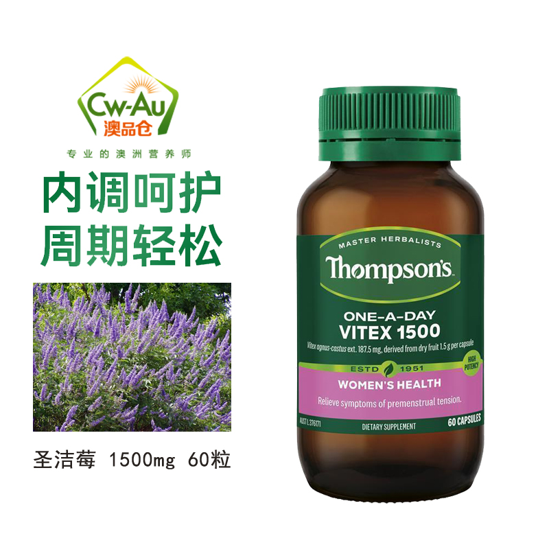 ViteX(vite项目怎么运行)