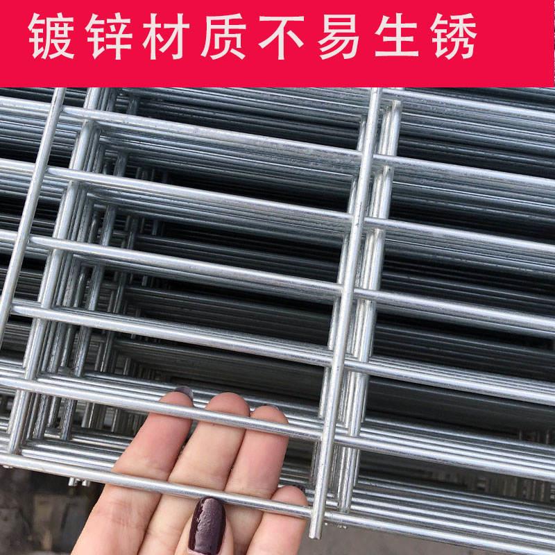 Z网(z网站是什么)