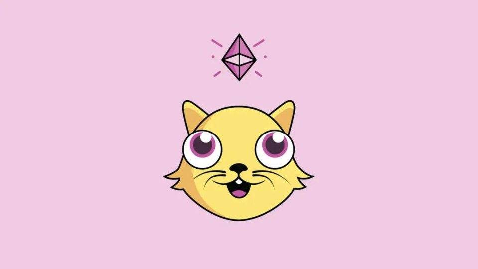 Bisq(鼻塞不通气一招解决)