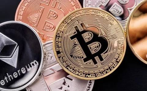 VBITEX的简单介绍