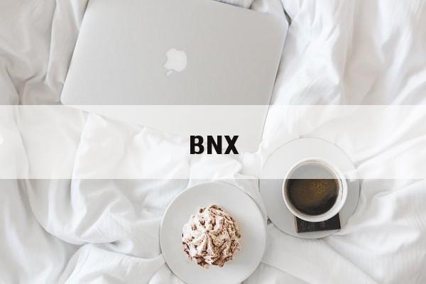 BNX(bn下载)